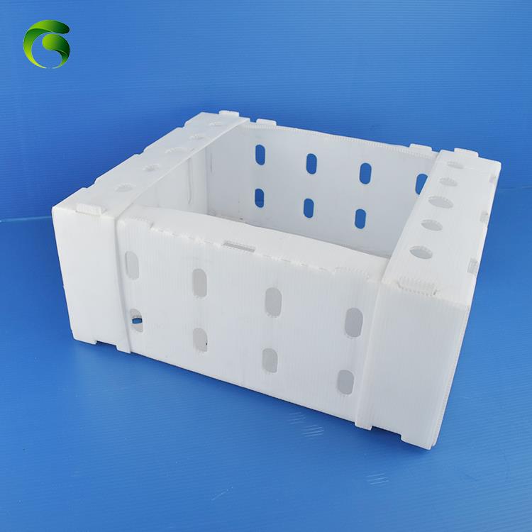 Plastic PP Packaging Box Plastic PP Packaging Box