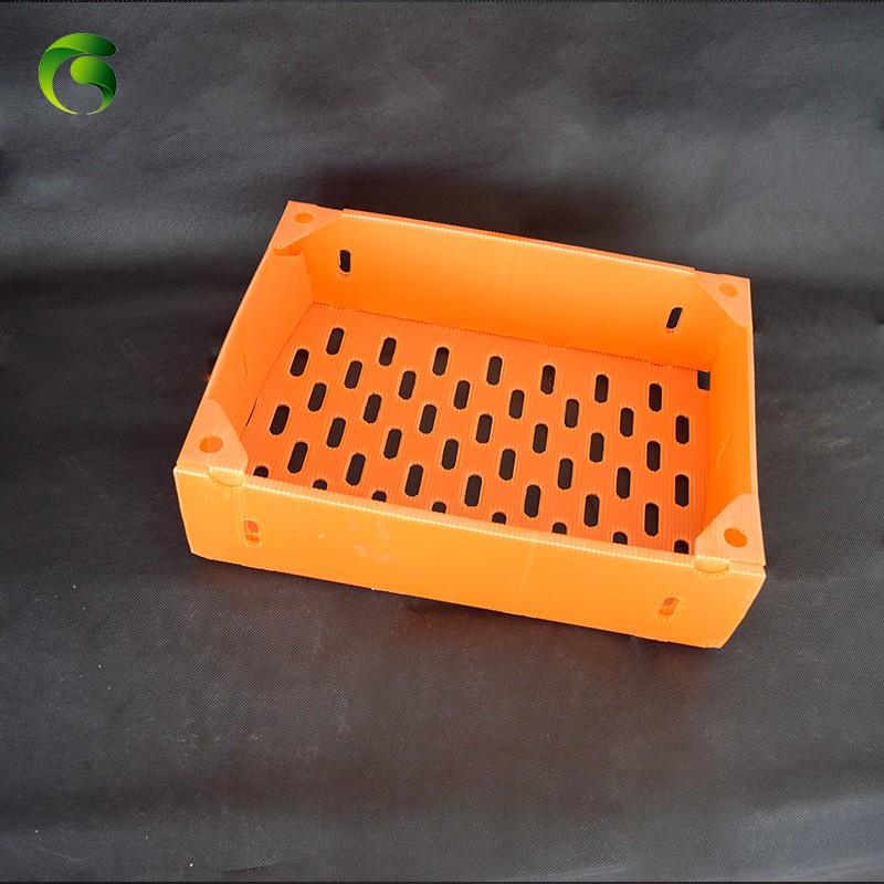 Frozen Shrimp Coroplast Box Frozen Shrimp Coroplast Box