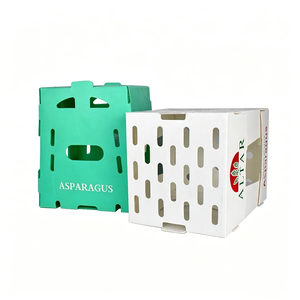PP Hollow Sheet Fruit & Vegetable Box