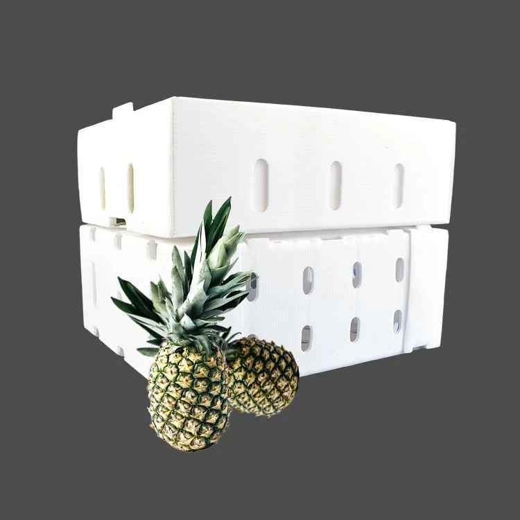 Reusable Foldable PP Plastic Packaging Box For Fruit