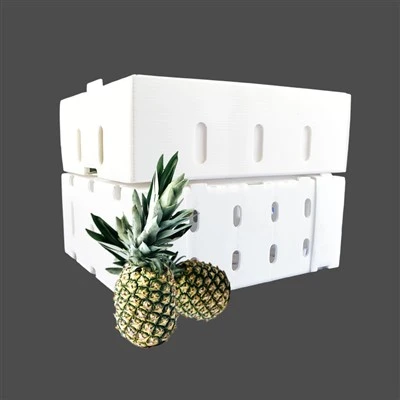 Reusable Foldable PP Plastic Packaging Box For Fruit