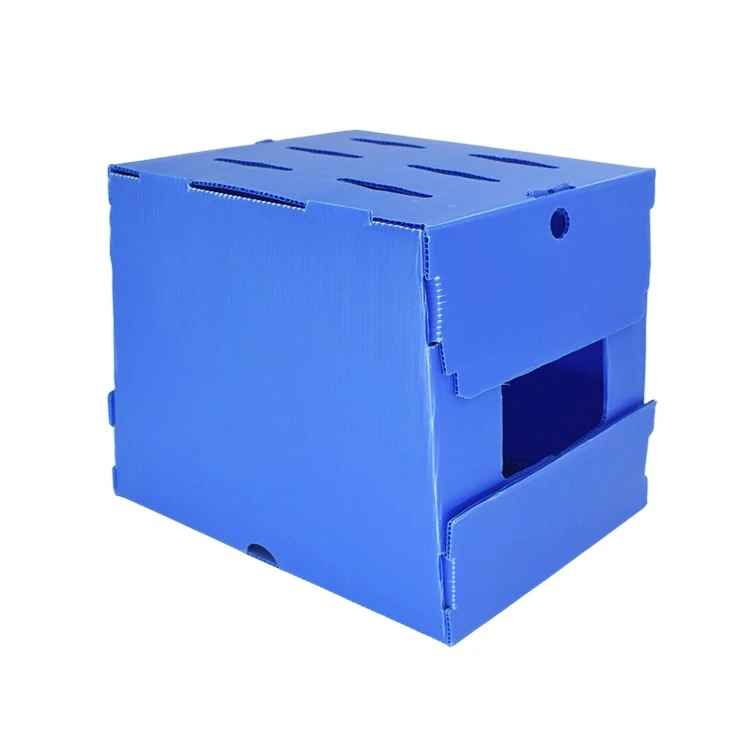 polypropylene pp plastic box polypropylene pp plastic box
