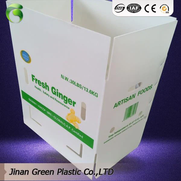 Corrugated Plastic boxes