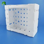 Plastic Corflute Fruit Box