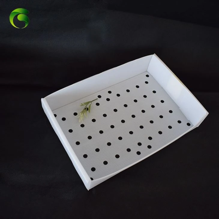 Corflute Shrimp Packing Box Corflute Shrimp Packing Box