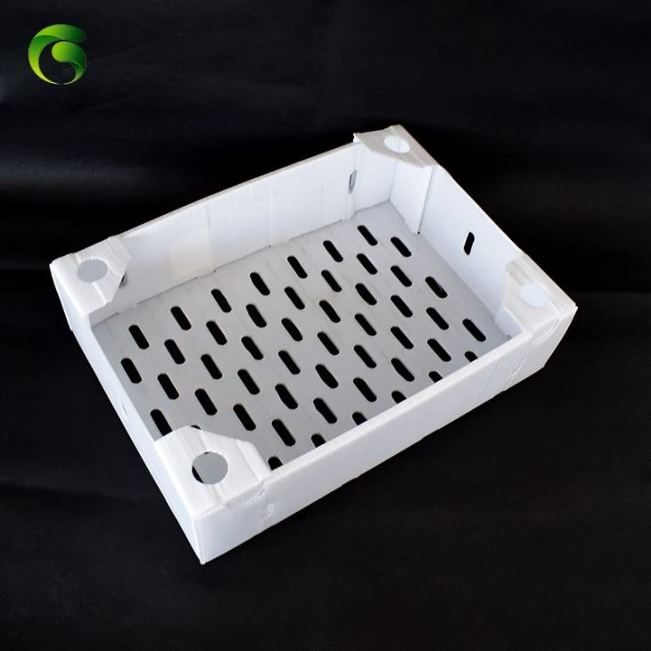 Corflute Shrimp Packing Box Corflute Shrimp Packing Box