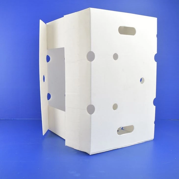 Grapes Packing Box Pp Coroplast Grapes Packing Box Pp Coroplast