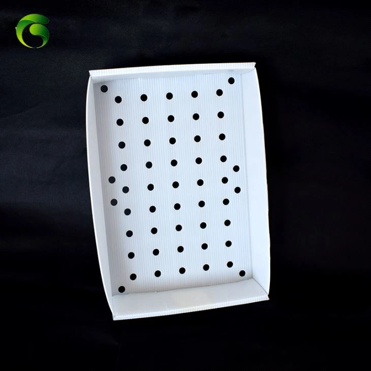Plastic Nuc Bee Box