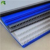 8mm Thickness 2000GSM PP Hollow Corrugated Sheet