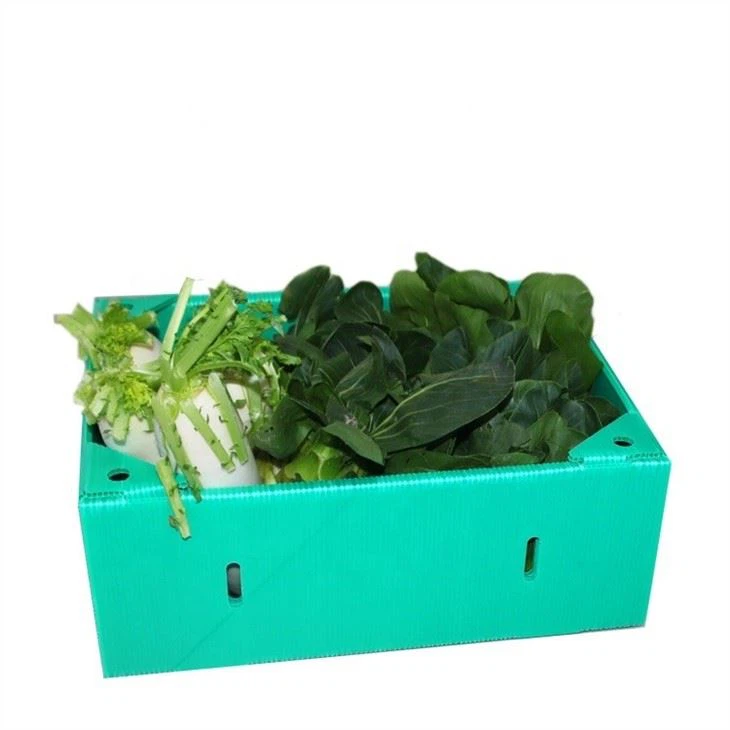 High Quality Fruit And Vegetable Delivery Pp Correx Coroplast Box High Quality Fruit And Vegetable Delivery Pp Correx Coroplast Box